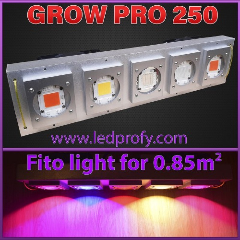 GROW PRO 250 the best lighting for hydroponics and growbox